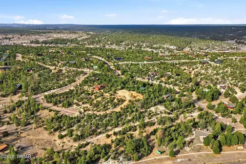 3363 Spring Ct, Heber, AZ 85928 photo 7