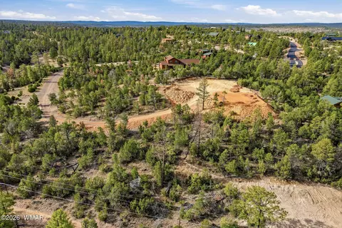 3363 Spring Ct, Heber, AZ 85928