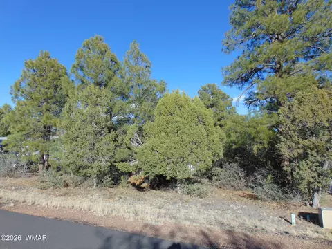681 S 2nd St, Show Low, AZ 85901