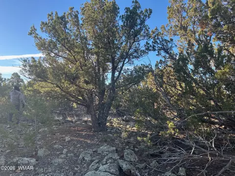 lot80 Ranch Rd, Vernon, AZ 85940