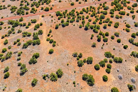8085 County Rd, Concho, AZ 85924 photo 9
