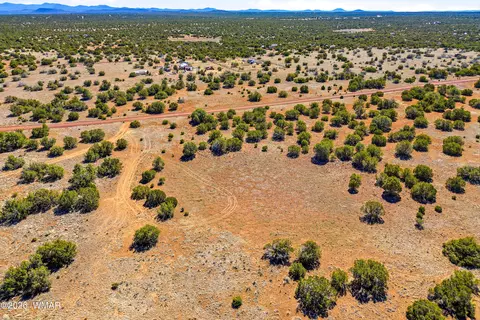 8085 County Rd, Concho, AZ 85924 photo 6