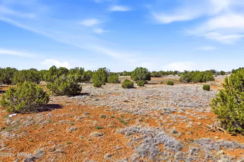 8085 County Rd, Concho, AZ 85924 photo 4