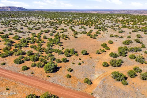 8085 County Rd, Concho, AZ 85924 photo 2