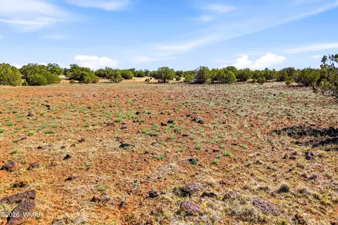 8085 County Rd, Concho, AZ 85924 photo 5
