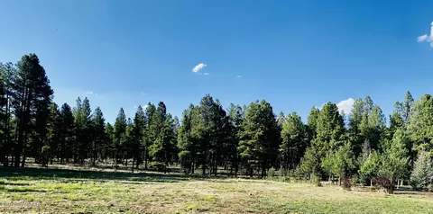 9592 Sierra Springs Dr, Pinetop, AZ 85935