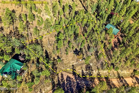 12 W Pergatory Dr, Alpine, AZ 85920