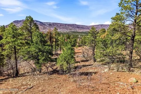tbd Cr N2278, Nutrioso, AZ 85932
