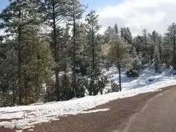 3378 Windy Ln, Heber, AZ 85928