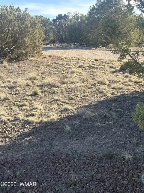 1757 Silver Lake Blvd, Show Low, AZ 85901