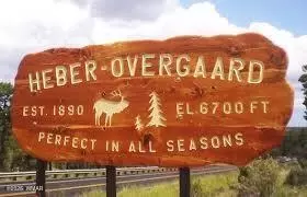 3373 Whisper Ln, Heber, AZ 85928 photo 5