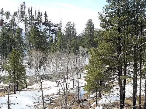 3369 Windy Ln, Heber, AZ 85928