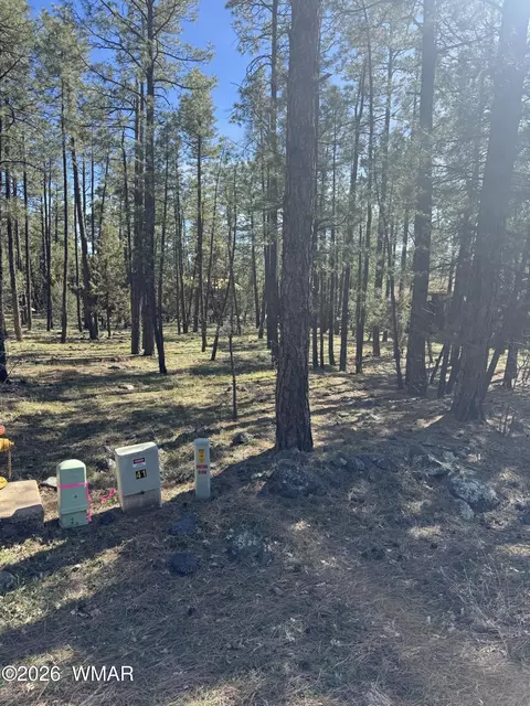 1049 Lakeshore Dr, Lakeside, AZ 85929
