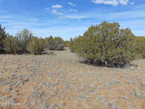 51 49 County Road 8243 Rd, Vernon, AZ 85940