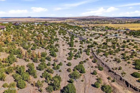 1242 S Kaishas Way, Eagar, AZ 85925 photo 8