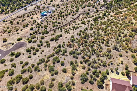 1242 S Kaishas Way, Eagar, AZ 85925 photo 20