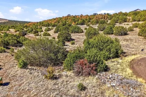 1242 S Kaishas Way, Eagar, AZ 85925 photo 4