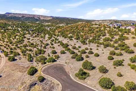 1242 S Kaishas Way, Eagar, AZ 85925 photo 5