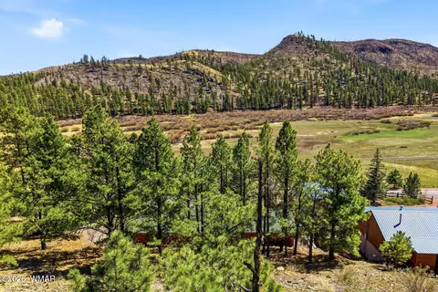 2 County Road 1013, Greer, AZ 85927