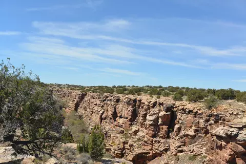 tbd Old Woodruff Rd, Snowflake, AZ 85937