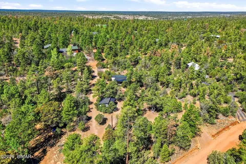 View/Area - 2787 Paradise Pines Rd, Overgaard, AZ 85933 photo 1 of 6