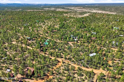 View/Area - 2787 Paradise Pines Rd, Overgaard, AZ 85933 photo 4 of 6