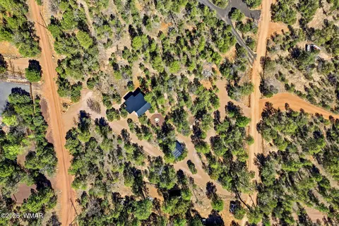 View/Area - 2787 Paradise Pines Rd, Overgaard, AZ 85933 photo 3 of 6