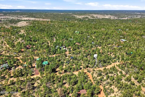 View/Area - 2787 Paradise Pines Rd, Overgaard, AZ 85933 photo 5 of 6