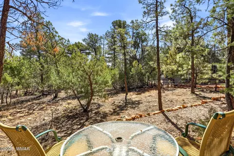 Other - 2787 Paradise Pines Rd, Overgaard, AZ 85933 photo 4 of 4