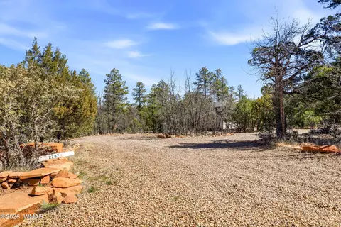 Exterior - 2787 Paradise Pines Rd, Overgaard, AZ 85933 photo 17 of 17
