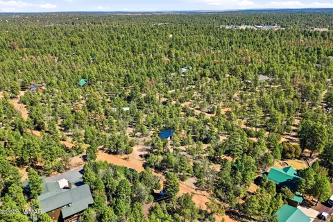 View/Area - 2787 Paradise Pines Rd, Overgaard, AZ 85933 photo 2 of 6