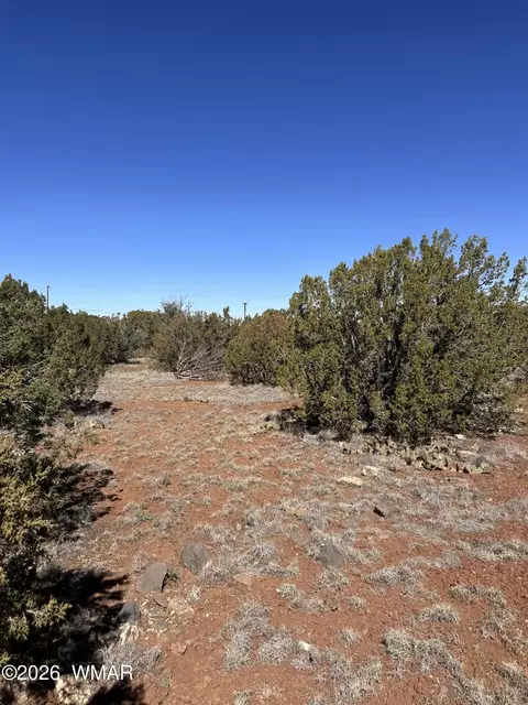 8490 Canyon Dr, Show Low, AZ 85901