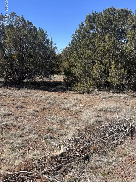 8489 Rifle Dr, Show Low, AZ 85901