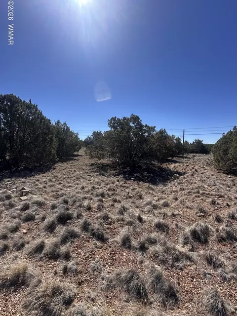 1795 Cox Dr, Show Low, AZ 85901