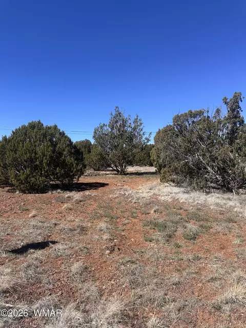 lot338 Bartlett Pl, Show Low, AZ 85901