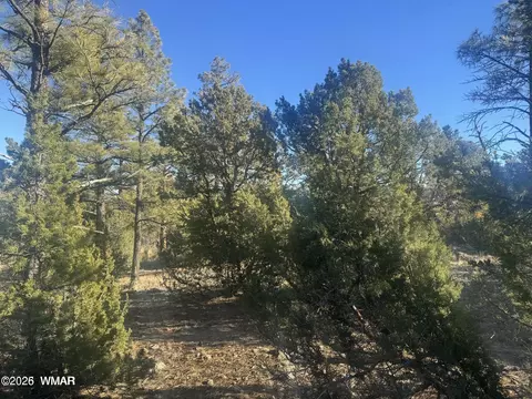 2060 E Bluff Ridge Rd, Show Low, AZ 85901