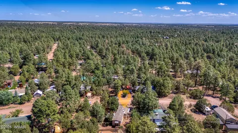 2185 Wildlife Trl, Overgaard, AZ 85933 photo 19