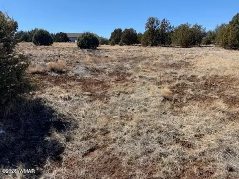 8580 Silver Creek Dr, Show Low, AZ 85901