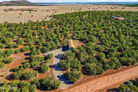 23 N3133, Vernon, AZ 85940