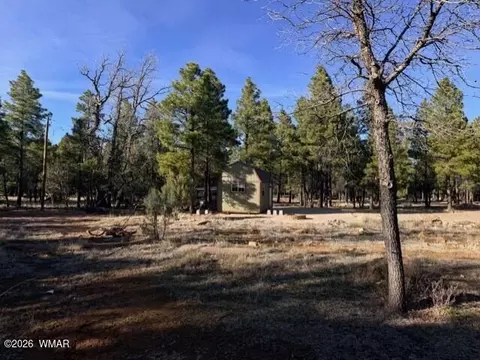 1306 Green Top Dr, Happy Jack, AZ 86024