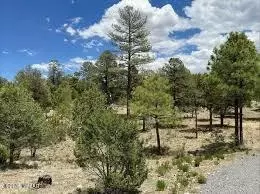 1869 Winter Pl, Heber, AZ 85928
