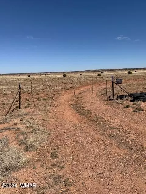 1045 County Road 5020, Concho, AZ 85924