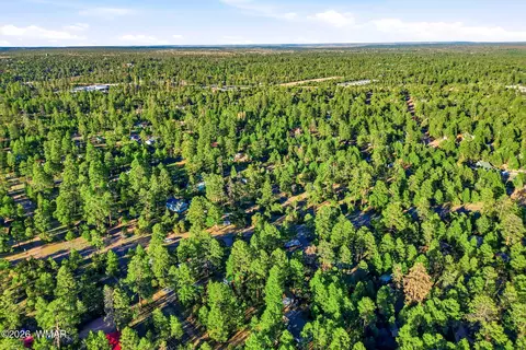 2894 Pine Rim Rd, Overgaard, AZ 85933 photo 32