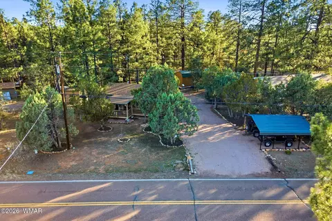 2894 Pine Rim Rd, Overgaard, AZ 85933 photo 29