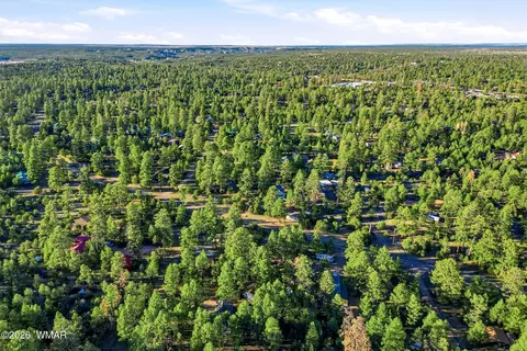 2894 Pine Rim Rd, Overgaard, AZ 85933 photo 33