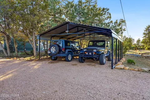 2894 Pine Rim Rd, Overgaard, AZ 85933 photo 18