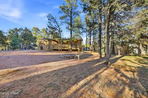 2894 Pine Rim Rd, Overgaard, AZ 85933 photo 26