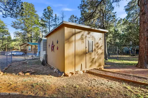 2894 Pine Rim Rd, Overgaard, AZ 85933 photo 27
