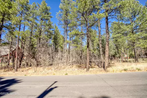 1036 W Apache Ln, Lakeside, AZ 85929 photo 6