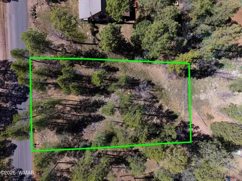 1036 W Apache Ln, Lakeside, AZ 85929 photo 2